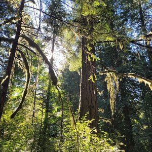 Meet your Posher, Sydnie